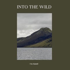 Into The Wild #Iceland