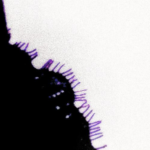 claws - Charli xcx (RORY Mix)