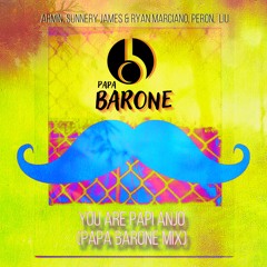 Armin, Sunnery James & Ryan Marciano, Peron,  Liu - You Are Papi Anjo (Papa Barone Mix)