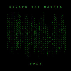 ESCAPE THE MATRIX