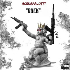 Acekapalottt - Duck (prod.GLVCK)
