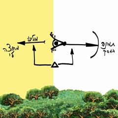 תפיסת המציאות