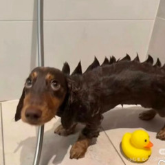 heybinji - summers over