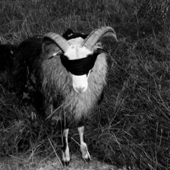 applewoodsmokedbacon (prod. sacreds)