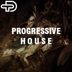 PROGRESSIVE HOUSE 2