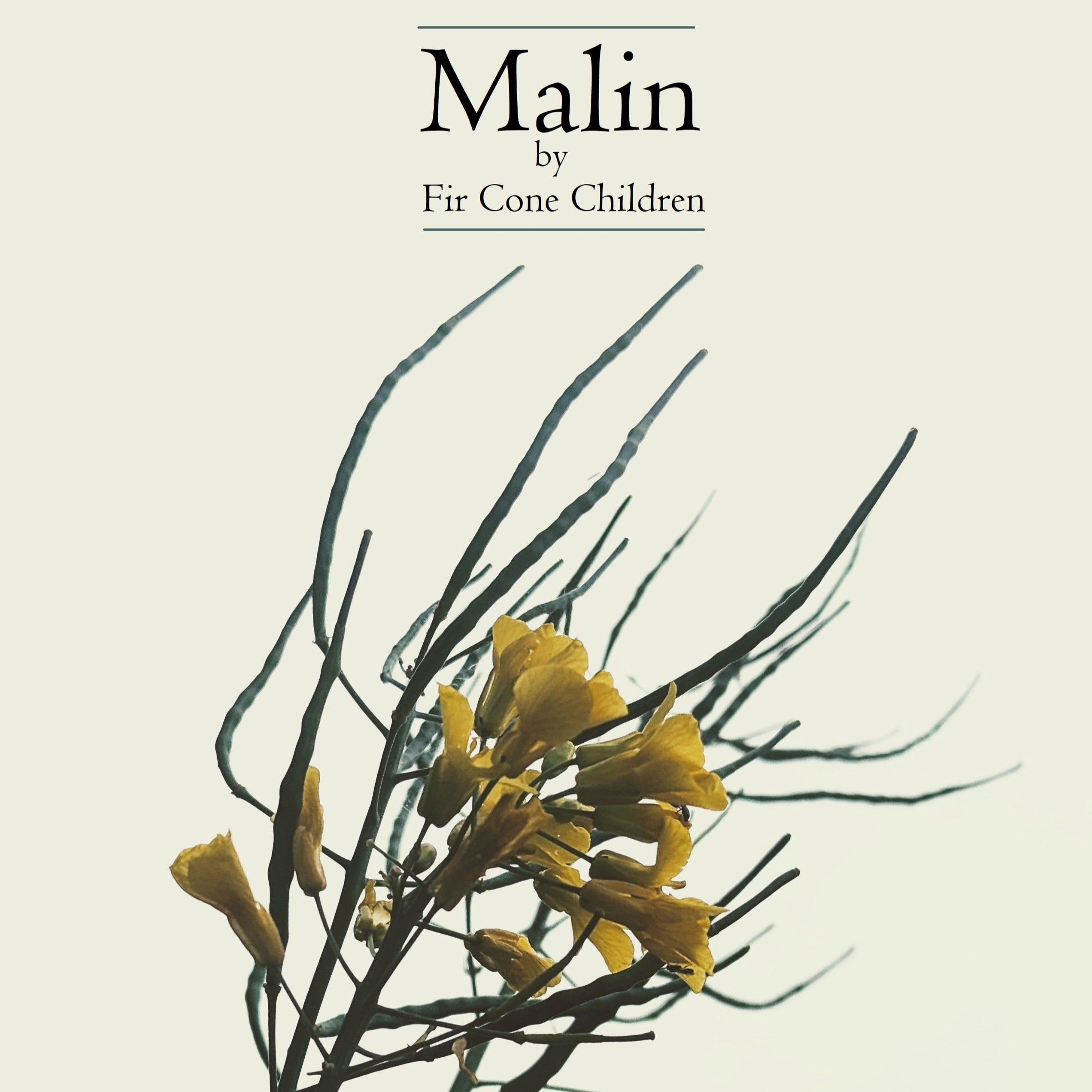 Fir Cone Children - Malin episode artwork