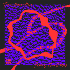 PREMIERE - Theus Mago & Mijo - Ustedes Los Ricos (Mytron Remix) (Duro)