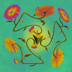 PREMIERE: Marie Tjong Ayong - rodeo of the bugs [QEONE]