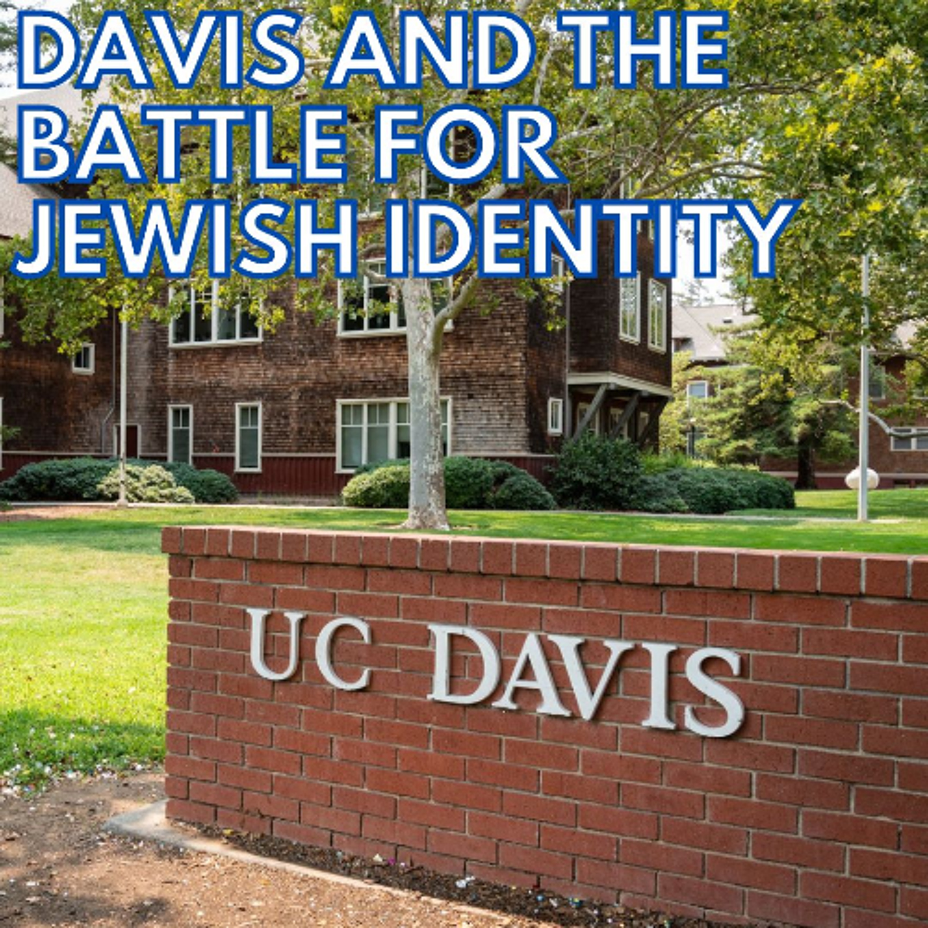 DAVIS AND THE BATTLE FOR JEWISH IDENTITY
