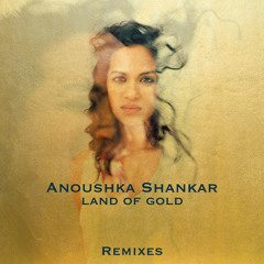 Crossing The Rubicon (Karsh Kale Remix)