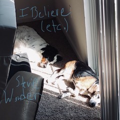 I Believe (When I Fall In Love It Will Be Forever) [Stevie Wonder cover]