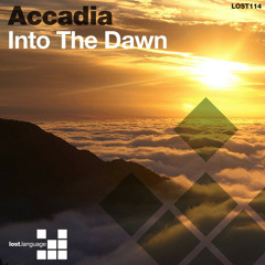 Accadia - Into The Dawn (James Holden Remix) [Internal Tune Rework]