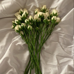 أوف يا أيـُام حبـنا