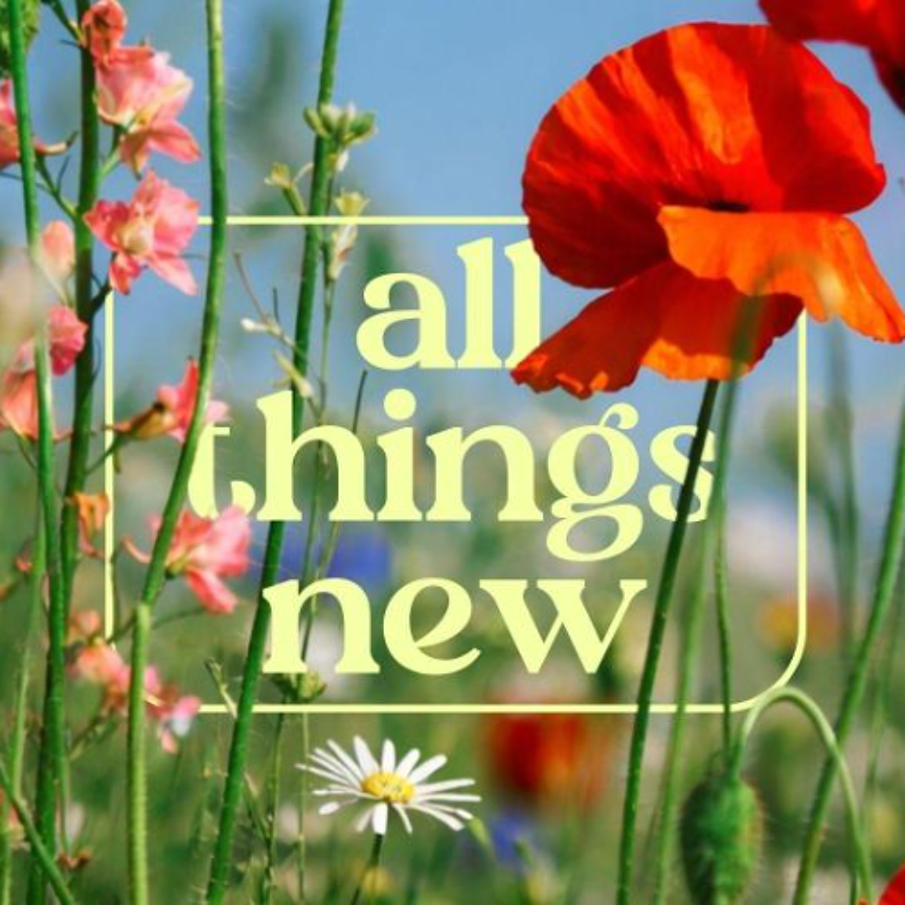 All Things New // The Renewal of the Mind // Pastor Philip Muela