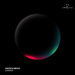 Shotik & Mesos - CanTell You