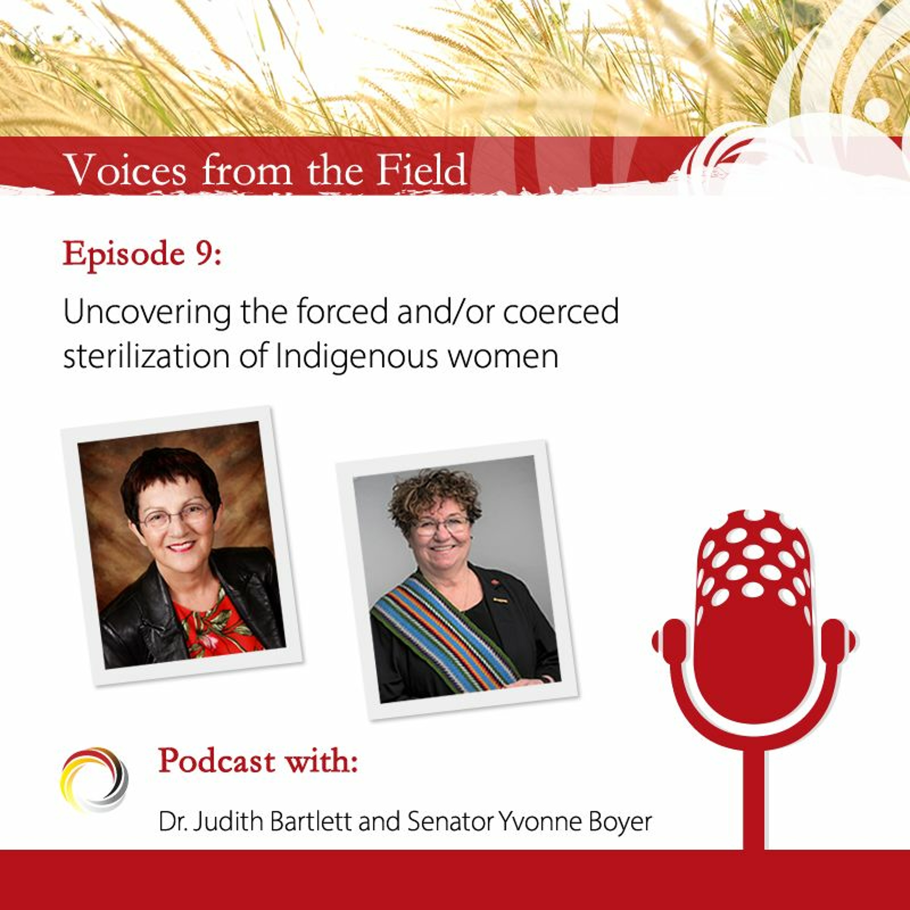 Voices from the Field