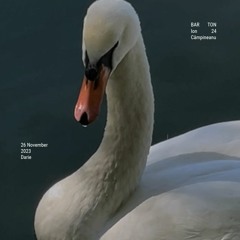 Darie at TON 26 Nov 23