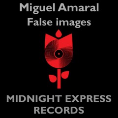 Miguel Amaral - Into the dark