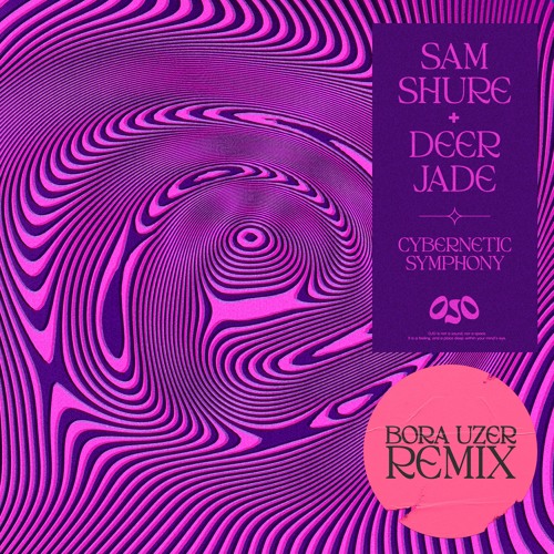 Sam Shure, Deer Jade - Cybernetic Symphony (Bora Uzer Remix)