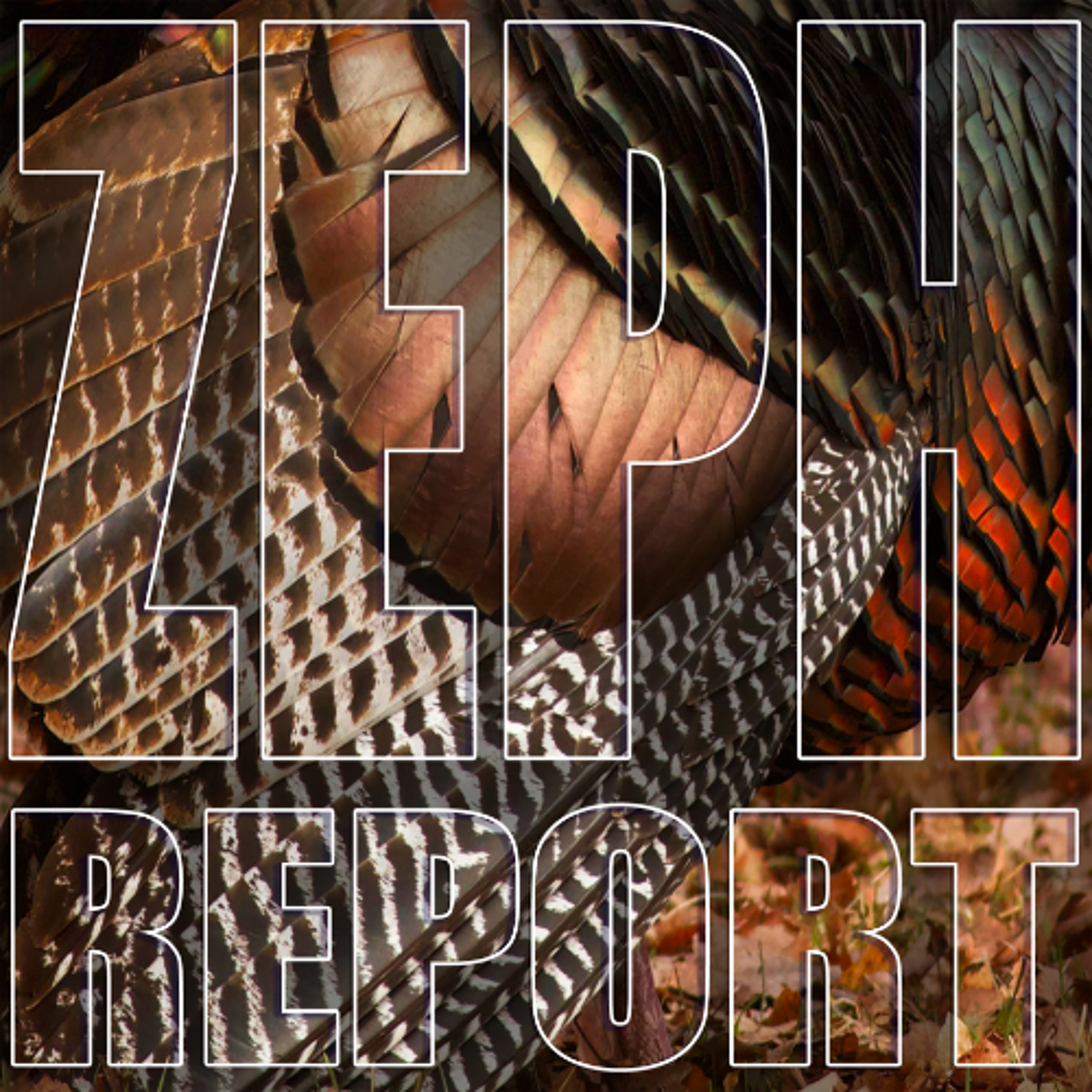 Thanksgiving Day - Undecided