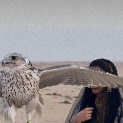 الكَبر لله يامتكَبره