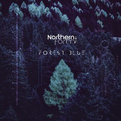 Northern Form - Ambience