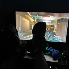 chicken (holdupslat)