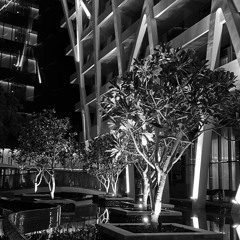 | تساهيل العمر - حمد الخزينه |