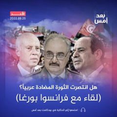 هل انتصرت الثورة المضادة عربياََ؟ (لقاء مع فرانسوا بورغا)