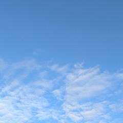 2024 - 12 - 28 insight
