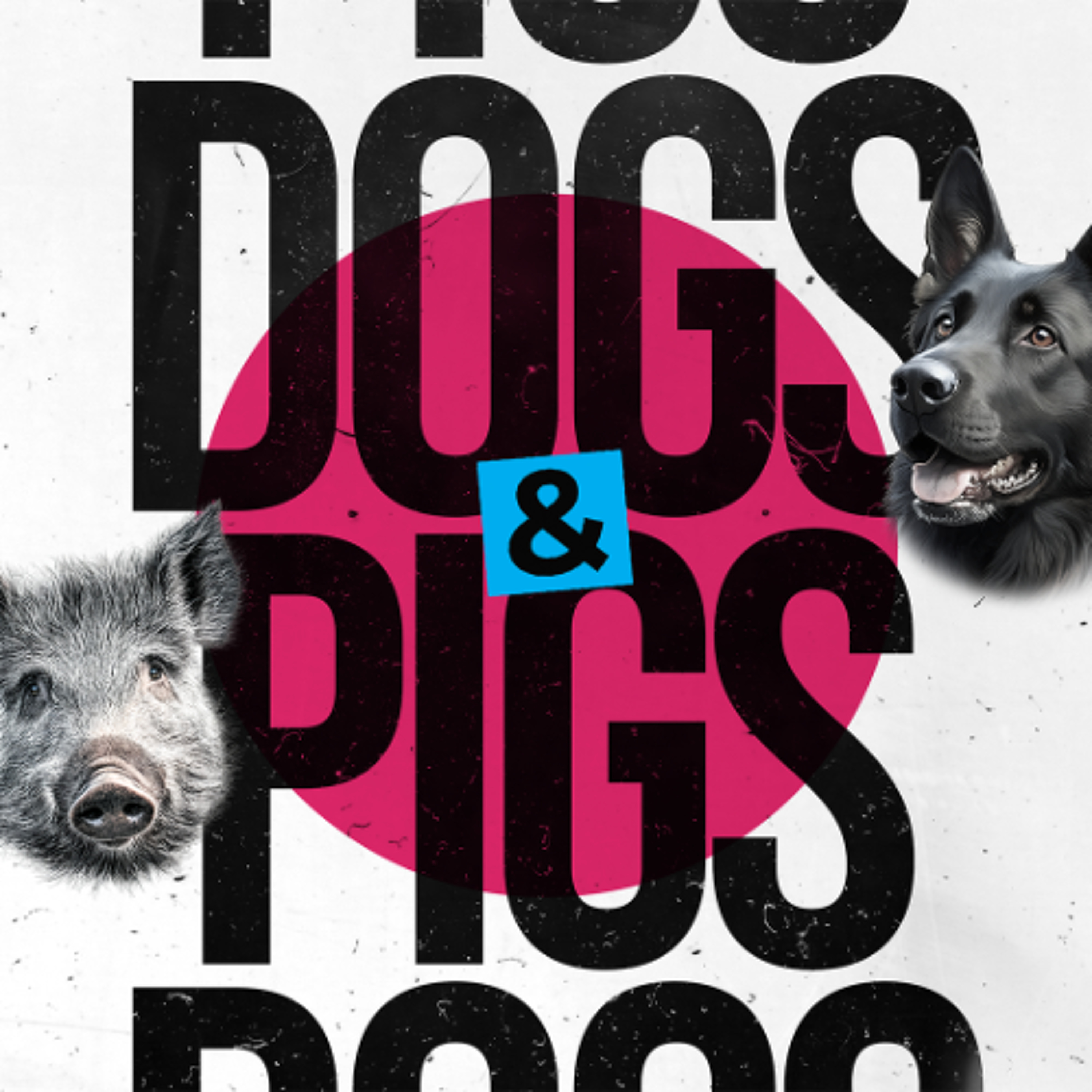 Dogs and Pigs | Ps Chris | Sunday 3 November episode artwork
