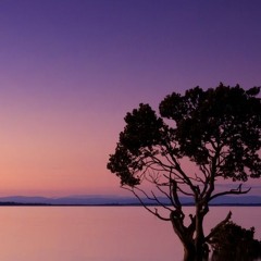 Sleep And Dream