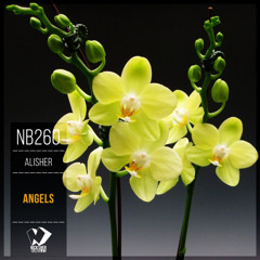 Alisher - Angels (Original Mix)