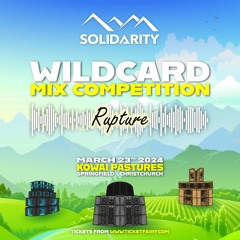Solidarity Mix Comp - Rupture