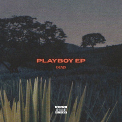 Playboy (D4 x Swamp Izzo Remix)