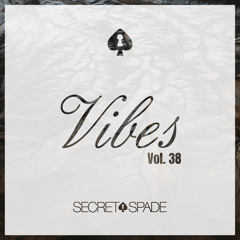 Vibes Vol.38