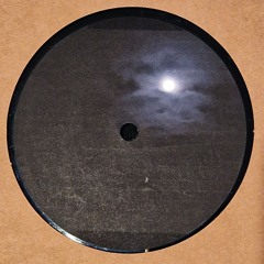 The Best Friend Of The Moon  / 12" Vinyl / ODcut 075