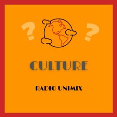 Unimix - Culture - Emission spéciale Queer Studies Week - Romain