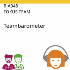 BJA048 | FOKUS TEAM - Teambarometer (Tobias Ranft & Lukas Steurer)
