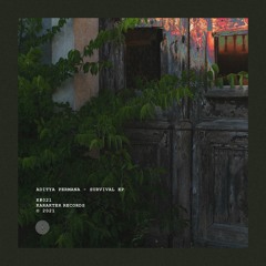 Aditya Permana - P S M (Original Mix)