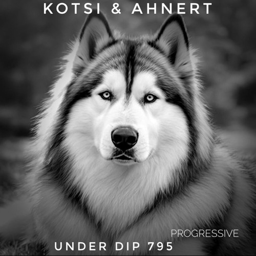 Kotsi & Ahnert UNDER DIP Ep. 795 Progressive House (121bpm)