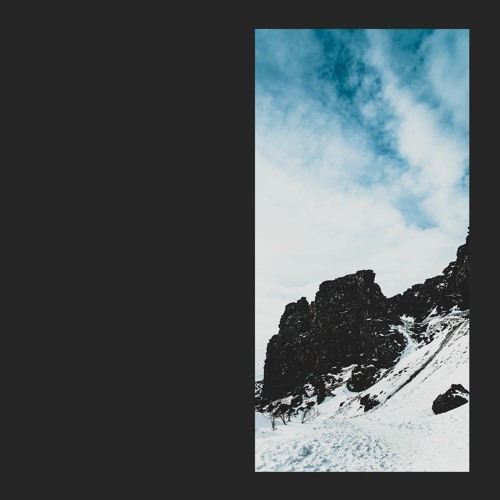 Singular Anomalies - Here and Now LP [GRETA]