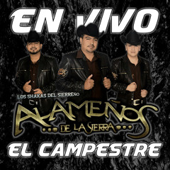 El Coco Rayado (En Vivo)