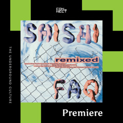 PREMIERE: shishi - I Gave Up Fighting (Kate Stein Remix) [Good Skills]