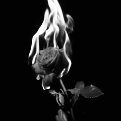 HEARTLESS