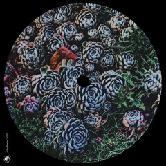 PREMIERE: Marvin Boettcher - Feels Like