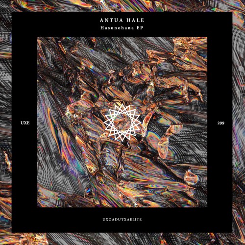 Antua Hale - Taikai (Original Mix)