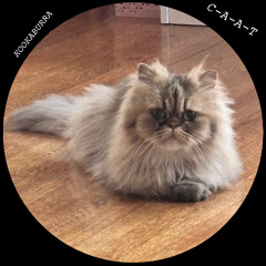 CAAT