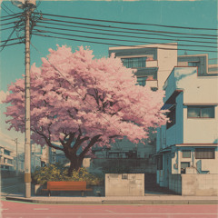by the cherry trees