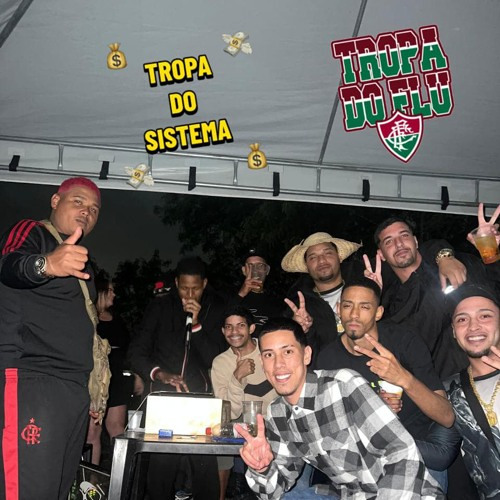 PUTARIAZINHA COM A TROPA DO SISTEMA ( DJ DO FLU )